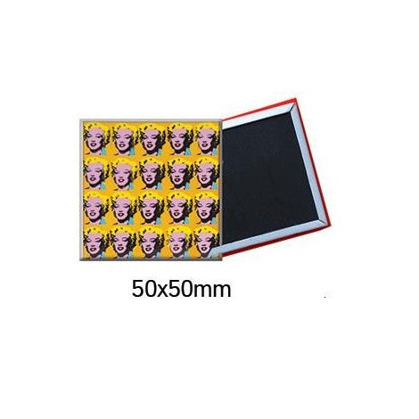 Magnets rigides 50 x 50 mm