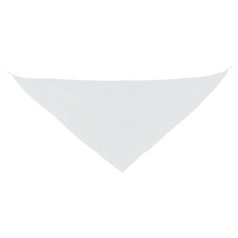 Bandana triangle