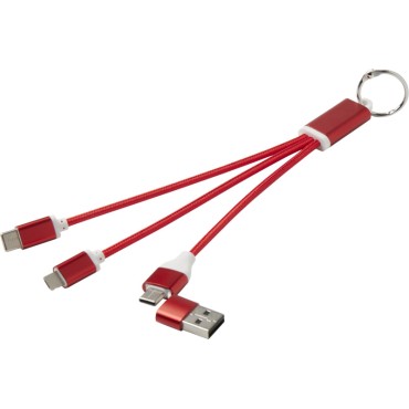 Câble de charge 4 en 1 CLERCS